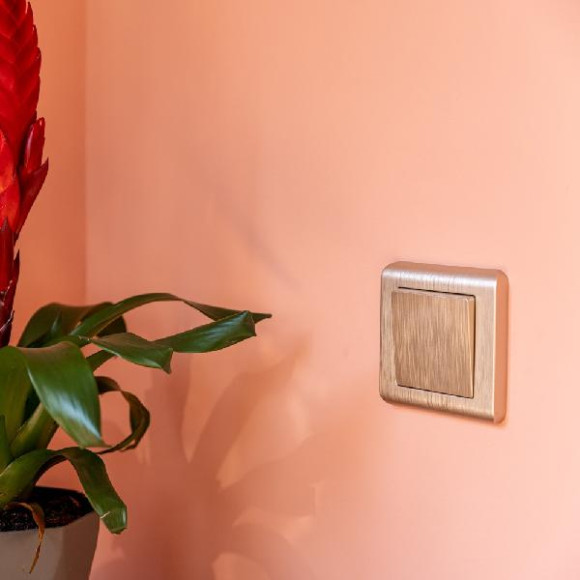 Рамка Stream шампань WL12-Frame-01