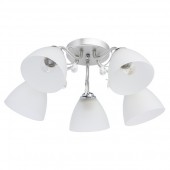 Потолочная люстра Нежность 676013005