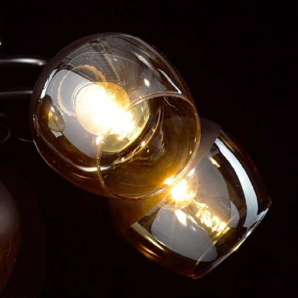 Потолочная люстра Альфа 324014605