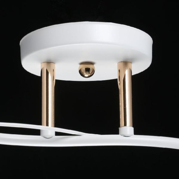 Потолочная люстра Нежность 676013502