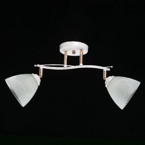 Потолочная люстра Нежность 676013502