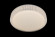 Потолочный светильник LED LAMPS LED LAMPS 81075