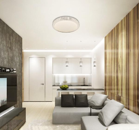 Потолочный светильник LED LAMPS LED LAMPS 81076