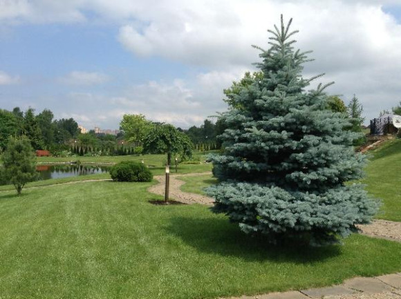 Наземный светильник LD-В LD-B880