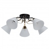 Потолочная люстра Нежность 676014605