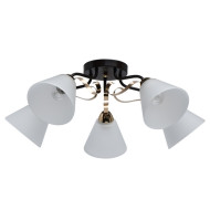 Потолочная люстра Нежность 676014605