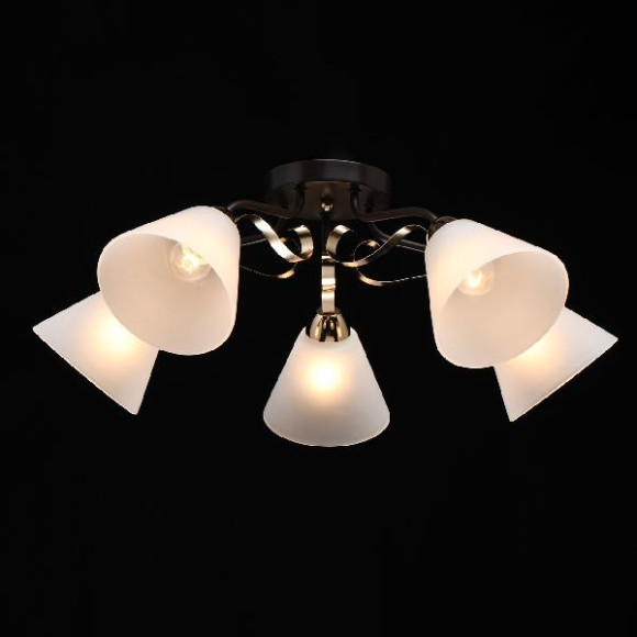 Потолочная люстра Нежность 676014605