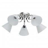 Потолочная люстра Нежность 676014705