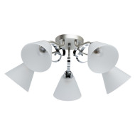 Потолочная люстра Нежность 676014705