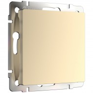 Заглушка Встраиваемые механизмы шампань W1159211 Заглушка Встраиваемые механизмы шампань W1159211