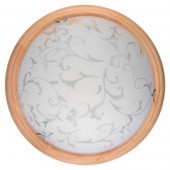 Настенно-потолочный светильник Daniela TL9530Y-00PN