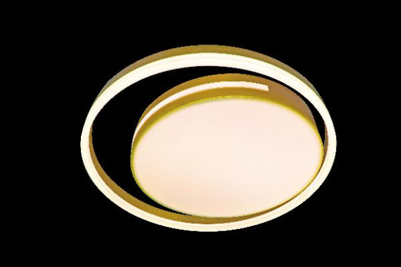 Потолочный светильник LED LAMPS LED LAMPS 81304