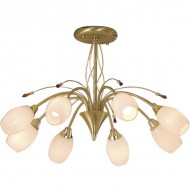 Потолочная люстра Kometa CL108183