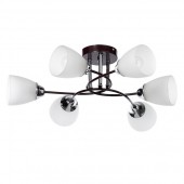 Потолочная люстра Нежность 676015706