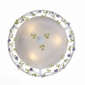 Потолочный светильник Fiori SL695.502.03