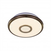 Потолочный светильник Старлайт CL70313