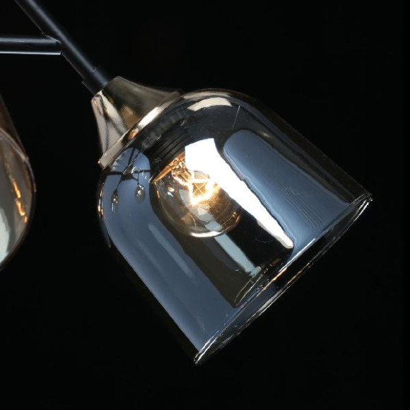 Потолочная люстра Альфа 324017005