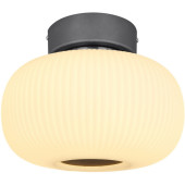 Потолочная люстра Boomer 15437D Потолочная люстра Boomer 15437D