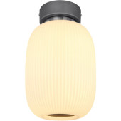 Потолочная люстра Boomer 15437D1 Потолочная люстра Boomer 15437D1