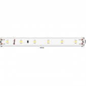 Светодиодная лента LUX DSG360-24-W-65