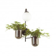 Бра Flower 4681/1W