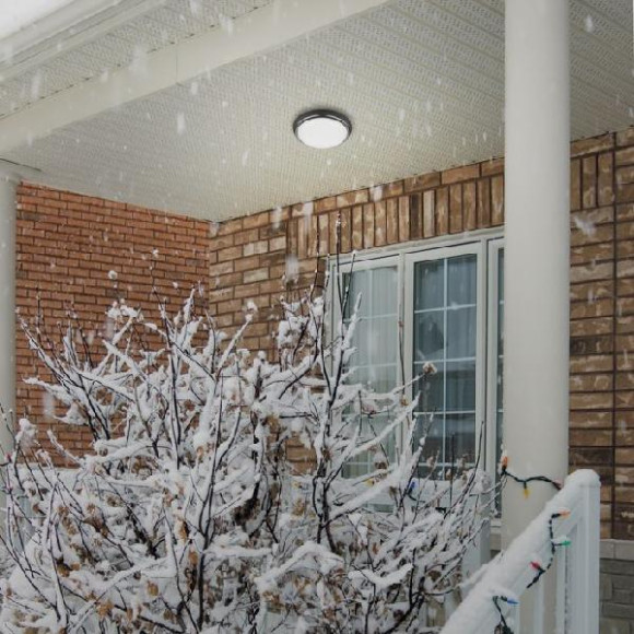 Потолочный светильник Opal 357505