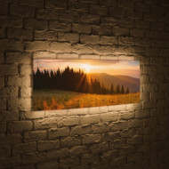 Лайтбокс Летний лес 45-135-p-015