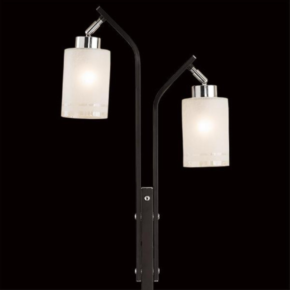 Торшер Фортуна CL156921