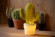 Интерьерная настольная лампа Cactus 13513/01/33