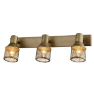 Спот Silvia TL3750Y-03AB