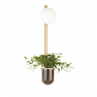 Бра Flower 4682/1WB