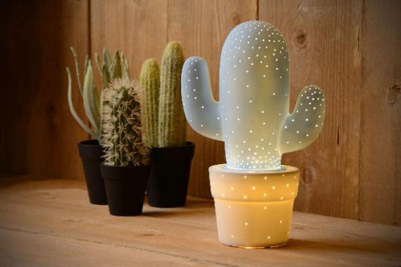 Интерьерная настольная лампа Cactus 13513/01/68