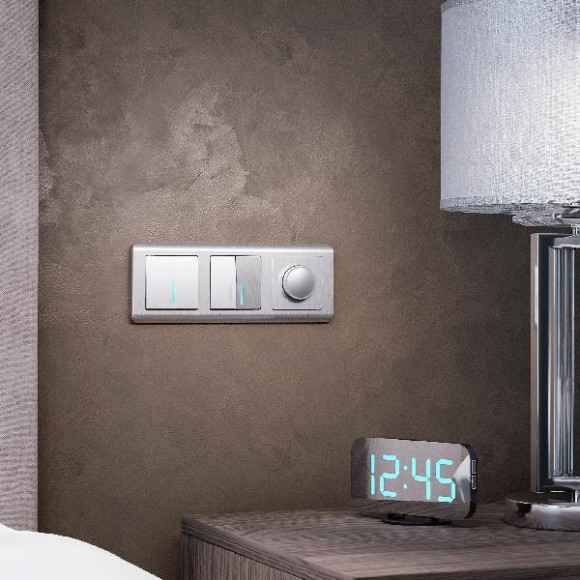 Выключатель Встраиваемые механизмы серебряный рифленый W1120109