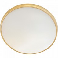 Потолочный светильник  0996 Потолочный светильник  0996