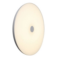 Потолочный светильник Melofon OML-47317-48