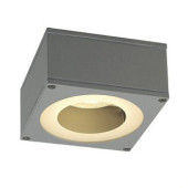 Потолочный светильник уличный Big 229981