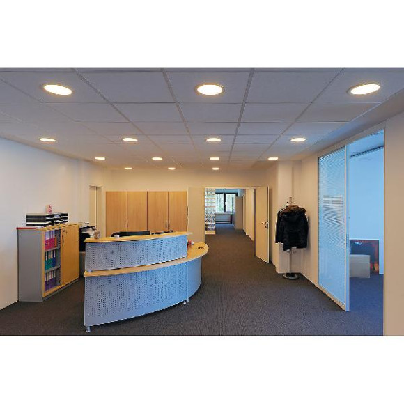 Точечный светильник Downlight 160461