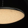 Подвесной светильник Перегрина 703011101