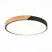 Потолочный светильник Festa SLE200942-01 Потолочный светильник Festa SLE200942-01