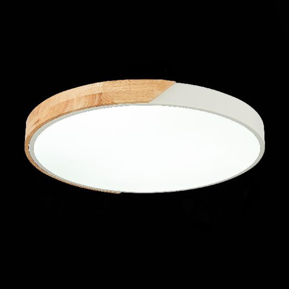 Потолочный светильник Festa SLE200952-01 Потолочный светильник Festa SLE200952-01