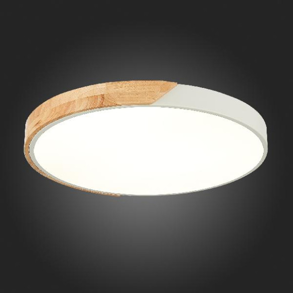 Потолочный светильник Festa SLE200952-01 Потолочный светильник Festa SLE200952-01