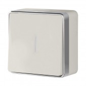 Выключатель Накладные механизмы Gallant слоновая кость WL15-01-04