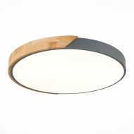 Потолочный светильник Festa SLE200972-01 Потолочный светильник Festa SLE200972-01