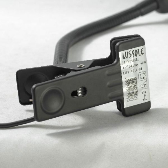 Офисная настольная лампа Roma GRLST-4214-01