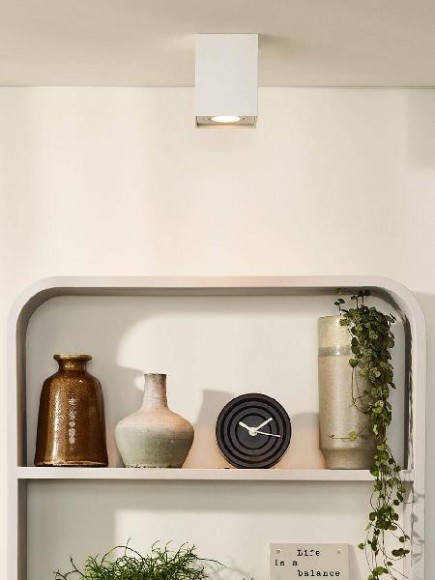 Потолочный светильник Tube 22953/01/31 Потолочный светильник Tube 22953/01/31