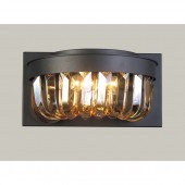 Настенный светильник Amber 1657-2W Настенный светильник Amber 1657-2W