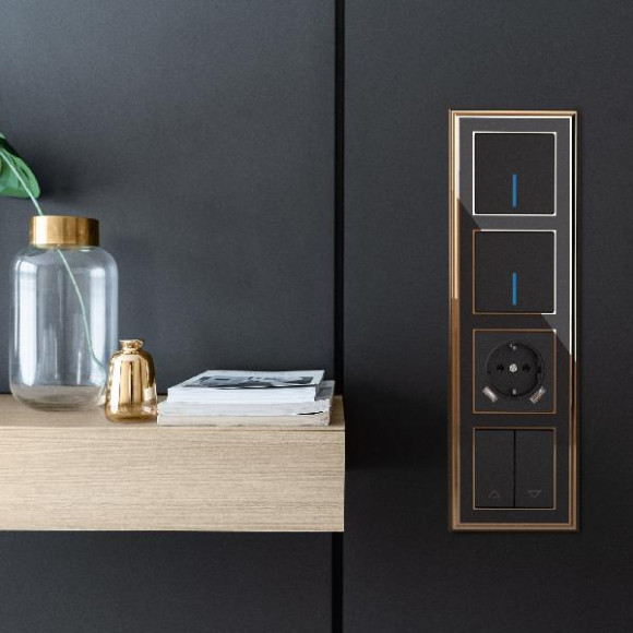 Рамка Palacio золото/черный WL17-Frame-04