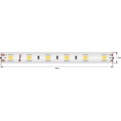 Светодиодная лента LUX DSG560-24-NW-65