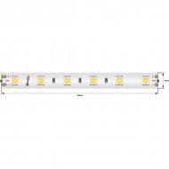 Светодиодная лента LUX DSG560-24-NW-65 Светодиодная лента LUX DSG560-24-NW-65