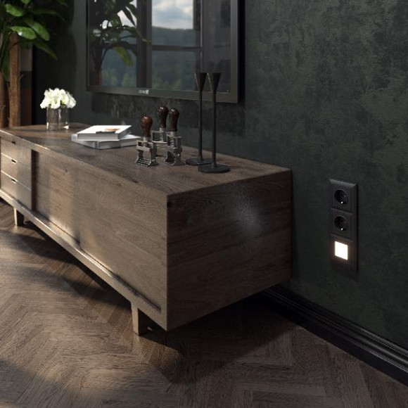 Розетка Встраиваемые механизмы черные WL08-SKG-01-IP20 Розетка Встраиваемые механизмы черные WL08-SKG-01-IP20